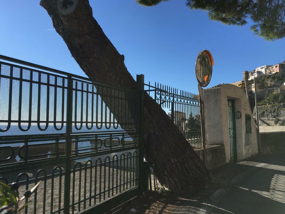 Villa Petit Ludovica 拉维罗 外观 照片